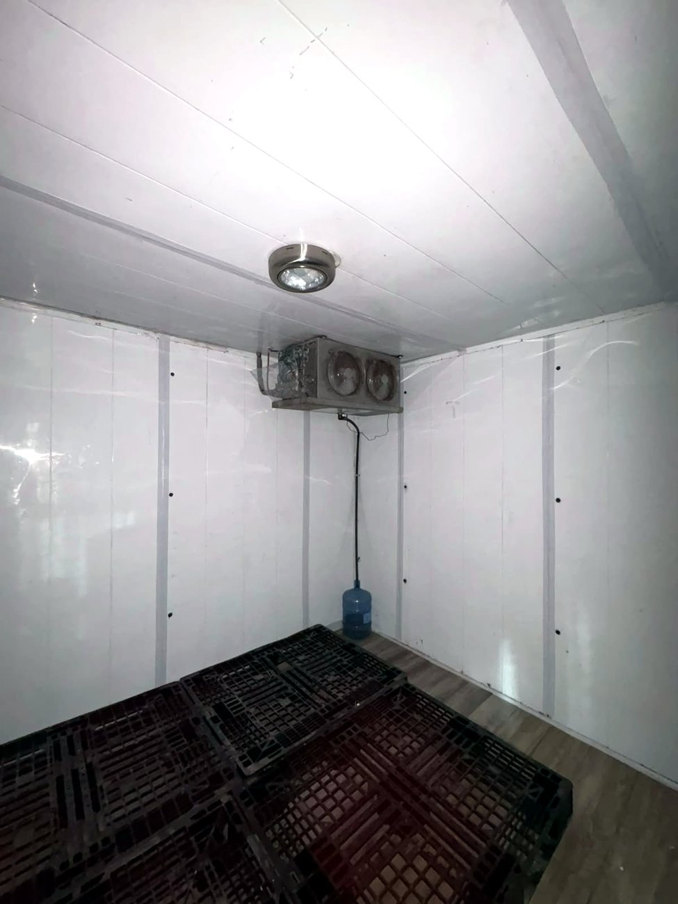 Interior de la cámara de frío de ALZU